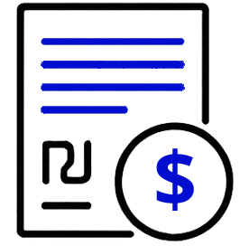 ניהול פיננסי והנהלת חשבונות 2
